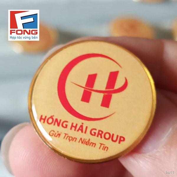 Huy hiêu cài áo Hồng Hải Group